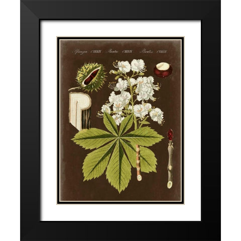 Chestnut on Suede Black Modern Wood Framed Art Print with Double Matting by Vision Studio