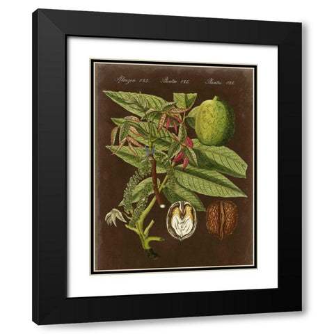 Walnut on Suede Black Modern Wood Framed Art Print with Double Matting by Vision Studio