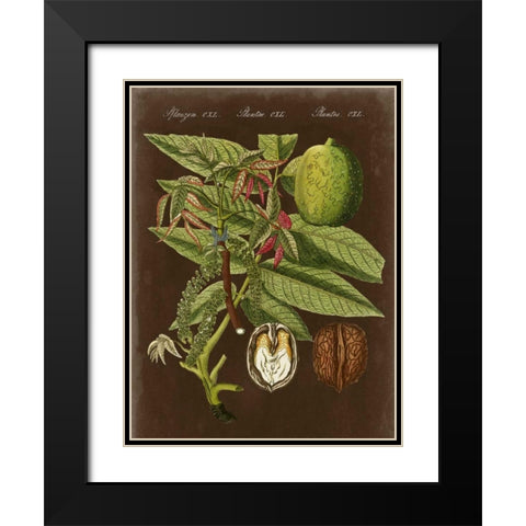 Walnut on Suede Black Modern Wood Framed Art Print with Double Matting by Vision Studio