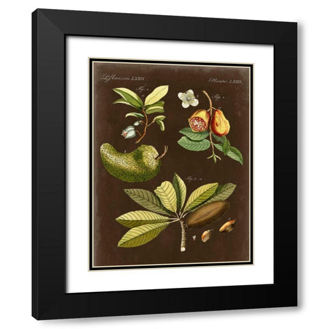 Breadfruit on Suede Black Modern Wood Framed Art Print with Double Matting by Vision Studio