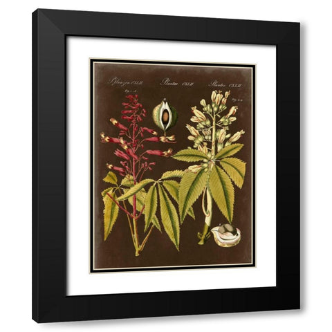 Buckeye on Suede Black Modern Wood Framed Art Print with Double Matting by Vision Studio