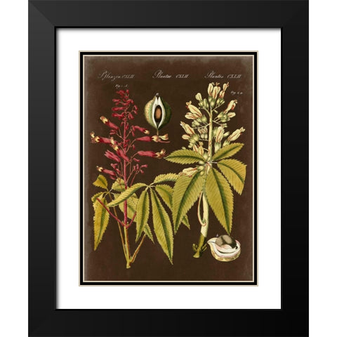 Buckeye on Suede Black Modern Wood Framed Art Print with Double Matting by Vision Studio