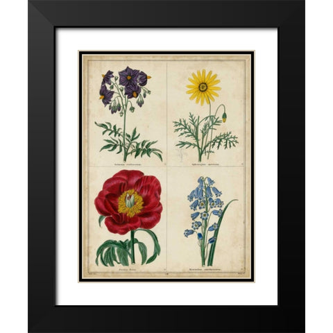 Botanical Grid I Black Modern Wood Framed Art Print with Double Matting by Maund, Benjamin