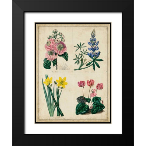 Botanical Grid III Black Modern Wood Framed Art Print with Double Matting by Maund, Benjamin