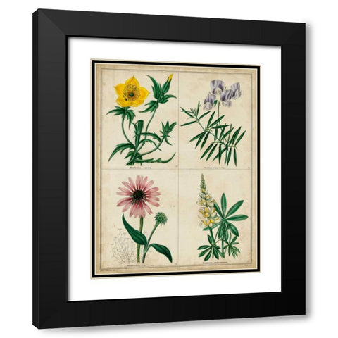 Botanical Grid IV Black Modern Wood Framed Art Print with Double Matting by Maund, Benjamin