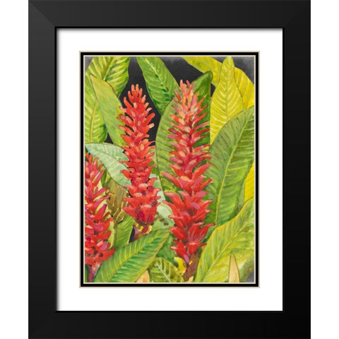 Red Tropical Flowers II Black Modern Wood Framed Art Print with Double Matting by OToole, Tim