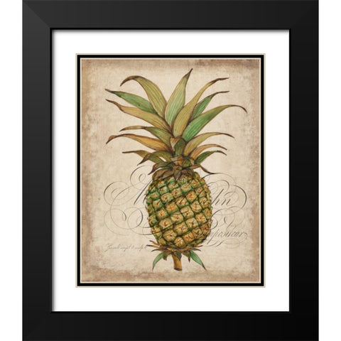 Pineapple Study I Black Modern Wood Framed Art Print with Double Matting by OToole, Tim