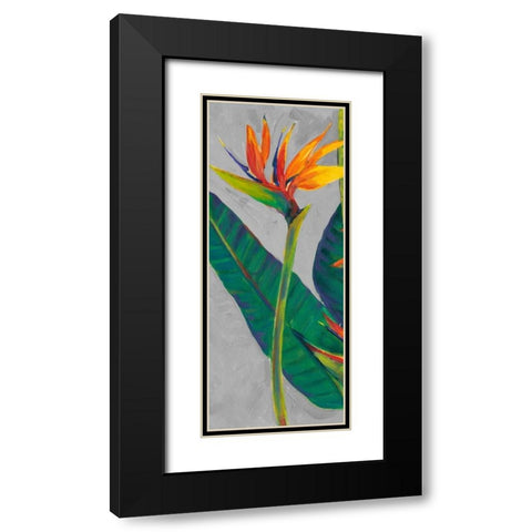 Bird of Paradise Triptych I Black Modern Wood Framed Art Print with Double Matting by OToole, Tim