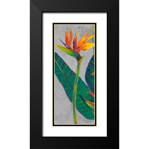 Bird of Paradise Triptych I Black Modern Wood Framed Art Print with Double Matting by OToole, Tim