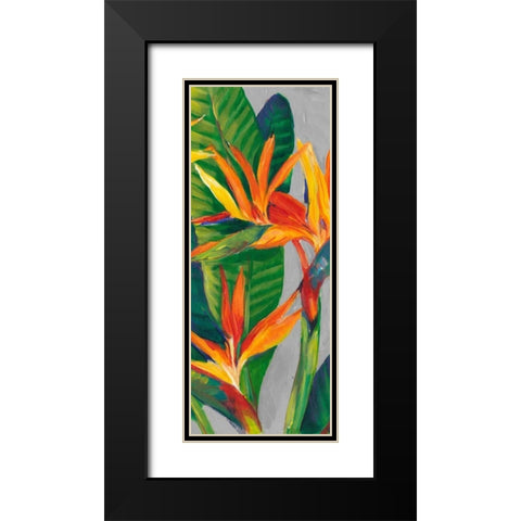 Bird of Paradise Triptych II Black Modern Wood Framed Art Print with Double Matting by OToole, Tim