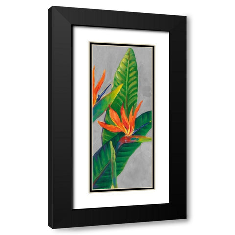 Bird of Paradise Triptych III Black Modern Wood Framed Art Print with Double Matting by OToole, Tim