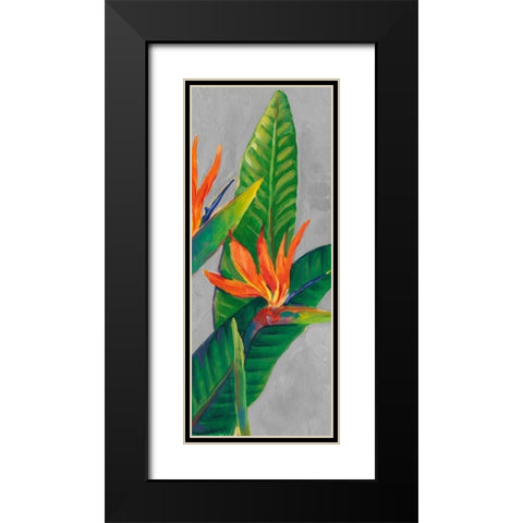 Bird of Paradise Triptych III Black Modern Wood Framed Art Print with Double Matting by OToole, Tim