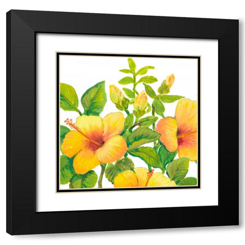 Watercolor Hibiscus I Black Modern Wood Framed Art Print with Double Matting by OToole, Tim