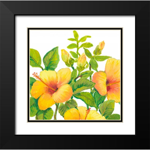 Watercolor Hibiscus I Black Modern Wood Framed Art Print with Double Matting by OToole, Tim