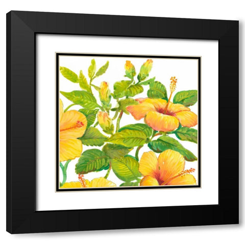 Watercolor Hibiscus II Black Modern Wood Framed Art Print with Double Matting by OToole, Tim