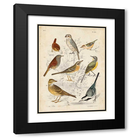 Gathering of Birds I Black Modern Wood Framed Art Print with Double Matting by Lubbert, G.