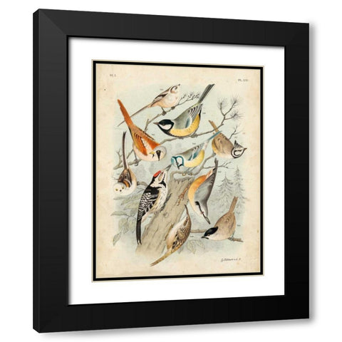Gathering of Birds II Black Modern Wood Framed Art Print with Double Matting by Lubbert, G.