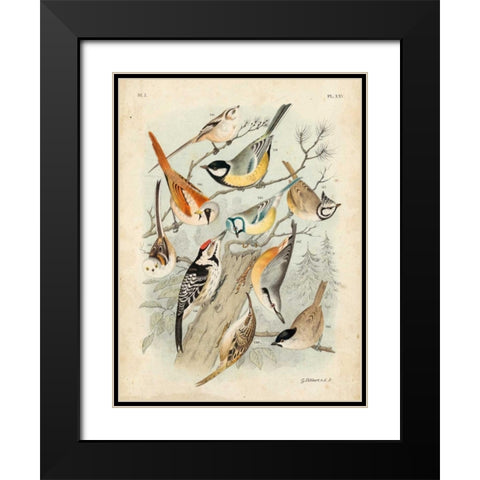 Gathering of Birds II Black Modern Wood Framed Art Print with Double Matting by Lubbert, G.