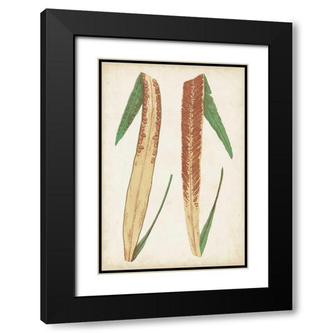 Fern Family IV Black Modern Wood Framed Art Print with Double Matting by Lowe