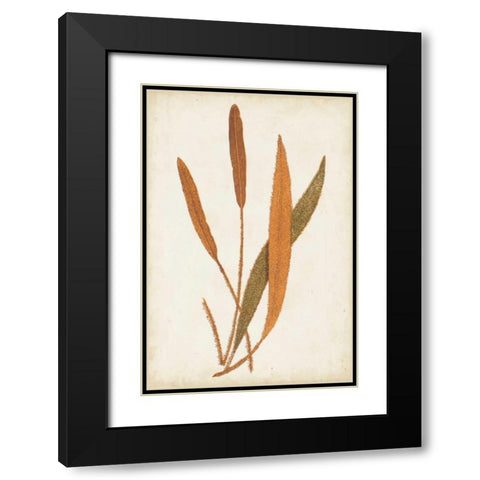 Fern Family VI Black Modern Wood Framed Art Print with Double Matting by Lowe