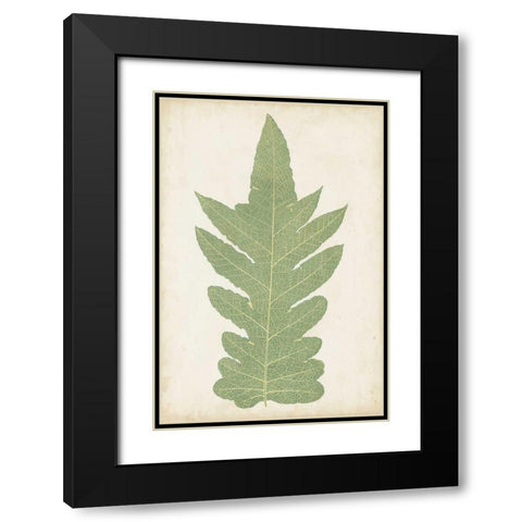 Fern Family IX Black Modern Wood Framed Art Print with Double Matting by Lowe