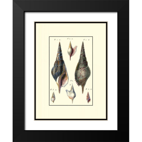 Custom Sea Shell III Black Modern Wood Framed Art Print with Double Matting by Diderot