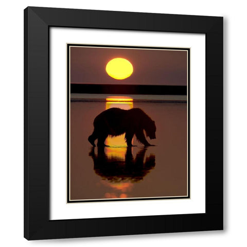 32x24 Bears at Play I (ASH) Black Modern Wood Framed Art Print with Double Matting by PHBurchett