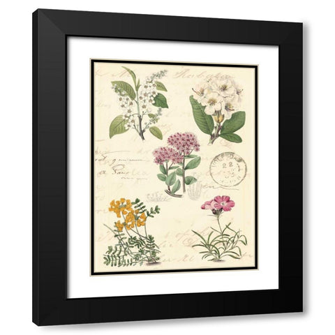 Botanical Journal II Black Modern Wood Framed Art Print with Double Matting by Vision Studio