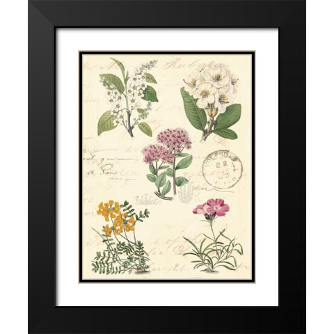 Botanical Journal II Black Modern Wood Framed Art Print with Double Matting by Vision Studio