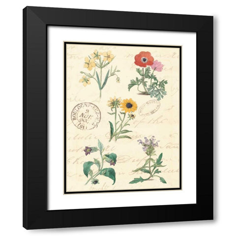 Botanical Journal IV Black Modern Wood Framed Art Print with Double Matting by Vision Studio