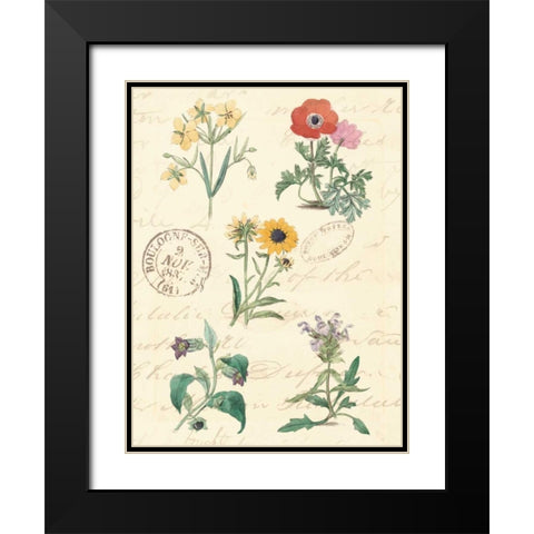 Botanical Journal IV Black Modern Wood Framed Art Print with Double Matting by Vision Studio