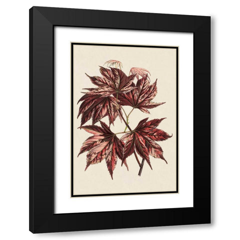 Japanese Maple Leaves II Black Modern Wood Framed Art Print with Double Matting by Stroobant