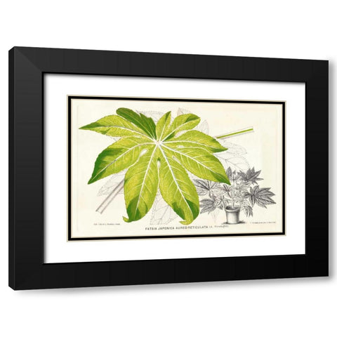 Fern Leaf Foliage I Black Modern Wood Framed Art Print with Double Matting by Stroobant