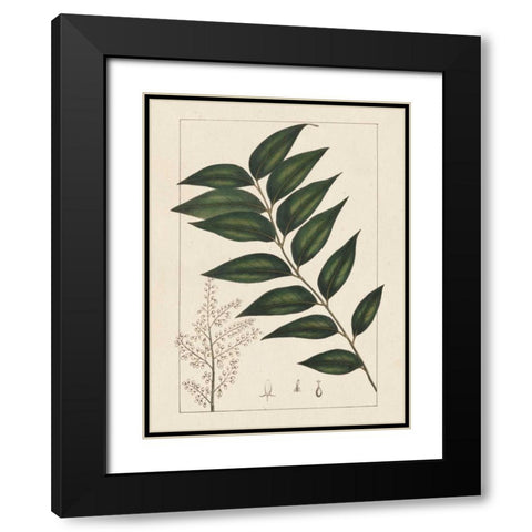 Silva Leaves III Black Modern Wood Framed Art Print with Double Matting by Silva, John