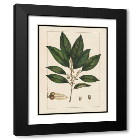 Silva Leaves IV Black Modern Wood Framed Art Print with Double Matting by Silva, John