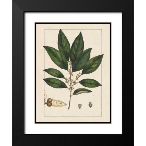Silva Leaves IV Black Modern Wood Framed Art Print with Double Matting by Silva, John