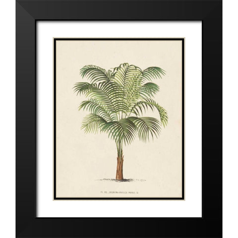 Les Palmiers II Black Modern Wood Framed Art Print with Double Matting by Unknown