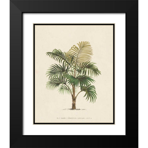 Les Palmiers IV Black Modern Wood Framed Art Print with Double Matting by Unknown