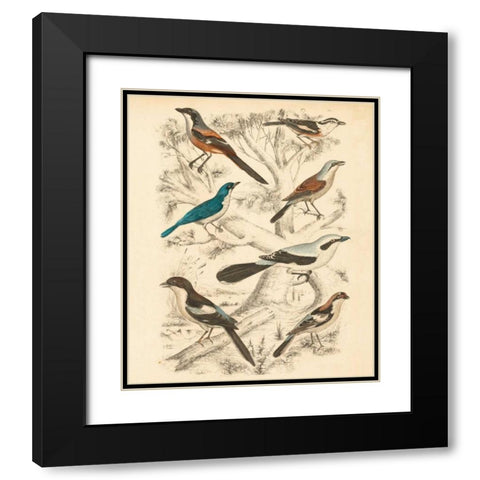 Avian Habitat V Black Modern Wood Framed Art Print with Double Matting by Milne