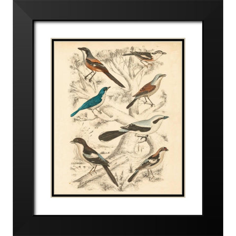 Avian Habitat V Black Modern Wood Framed Art Print with Double Matting by Milne