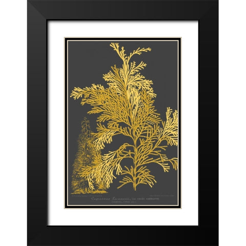 Trees and Leaves I Black Modern Wood Framed Art Print with Double Matting by Vision Studio