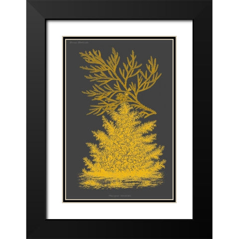 Trees and Leaves II Black Modern Wood Framed Art Print with Double Matting by Vision Studio