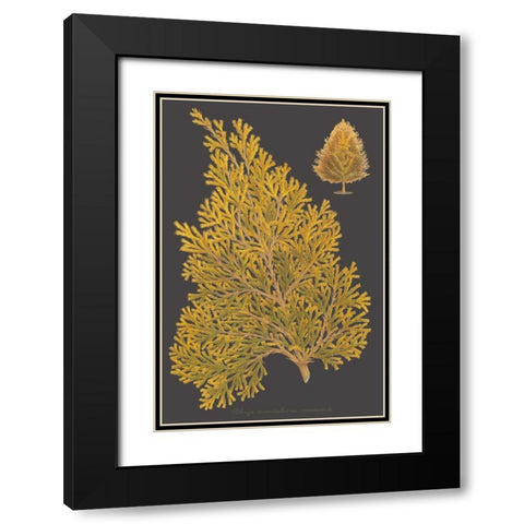 Trees and Leaves III Black Modern Wood Framed Art Print with Double Matting by Vision Studio