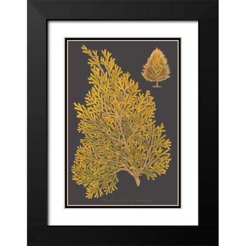 Trees and Leaves III Black Modern Wood Framed Art Print with Double Matting by Vision Studio