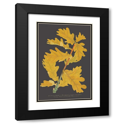 Trees and Leaves IV Black Modern Wood Framed Art Print with Double Matting by Vision Studio