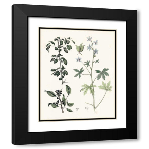 Berge Botanicals IV Black Modern Wood Framed Art Print with Double Matting by Berge