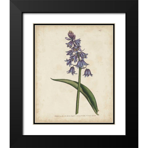Lavender Curtis Botanicals II Black Modern Wood Framed Art Print with Double Matting by Curtis