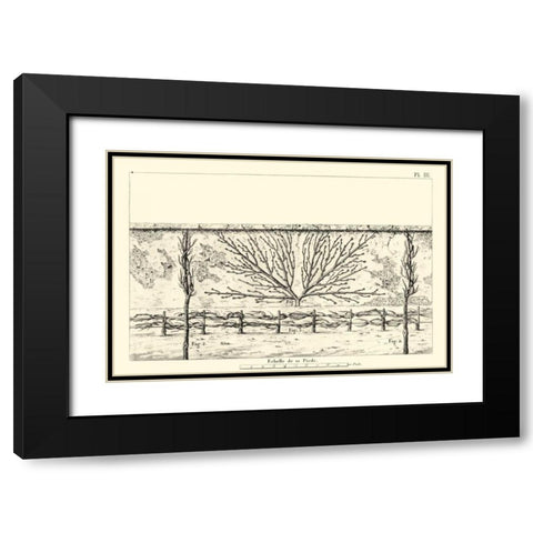 Antique Diagram for Espaliers I Black Modern Wood Framed Art Print with Double Matting by Unknown