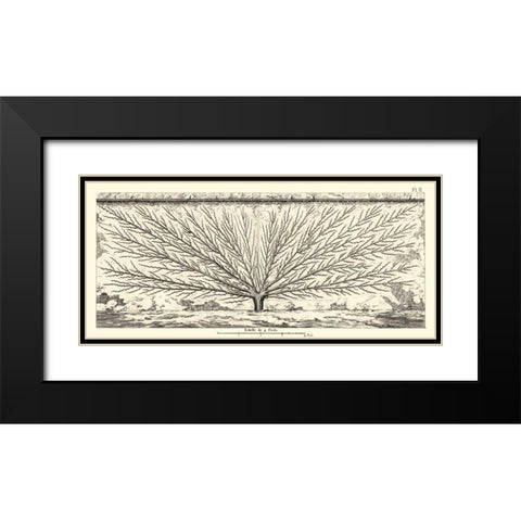 Antique Diagram for Espaliers III Black Modern Wood Framed Art Print with Double Matting by Unknown