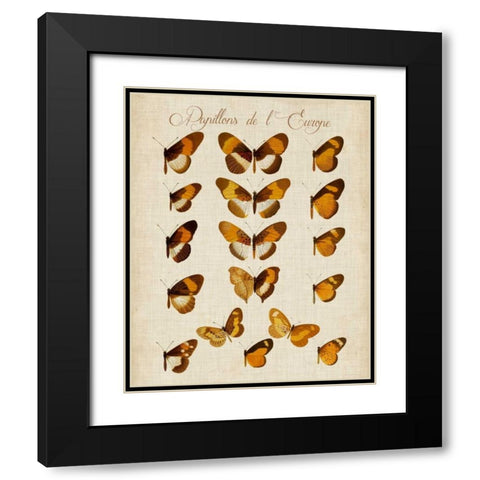 Papillons de LEurope I Black Modern Wood Framed Art Print with Double Matting by Vision Studio